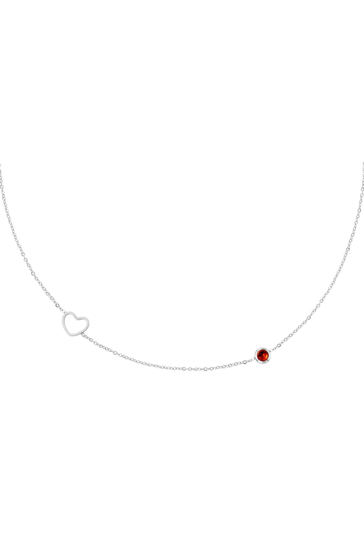 Geboortesteen ketting januari zilver Rood Stainless Steel