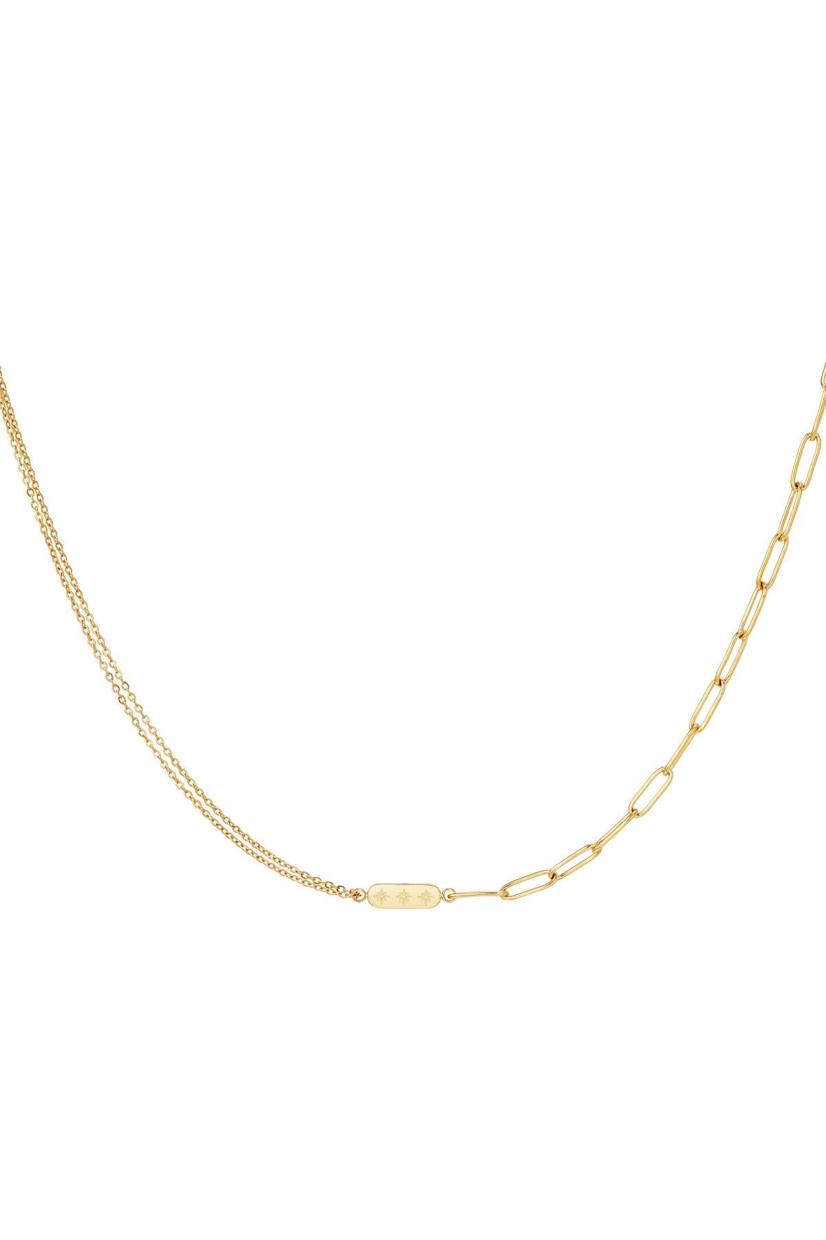 Roestvrijstalen ketting met dubbele ketting en bedel Goud kleur Stainless Steel