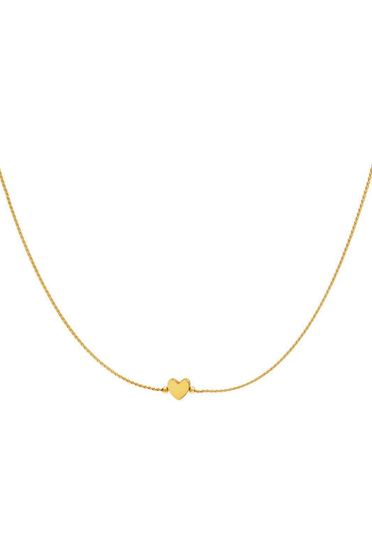 Ketting hart Goud kleur Stainless Steel