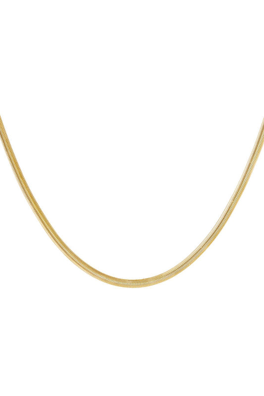 Platte schakelketting Goud kleur Stainless Steel