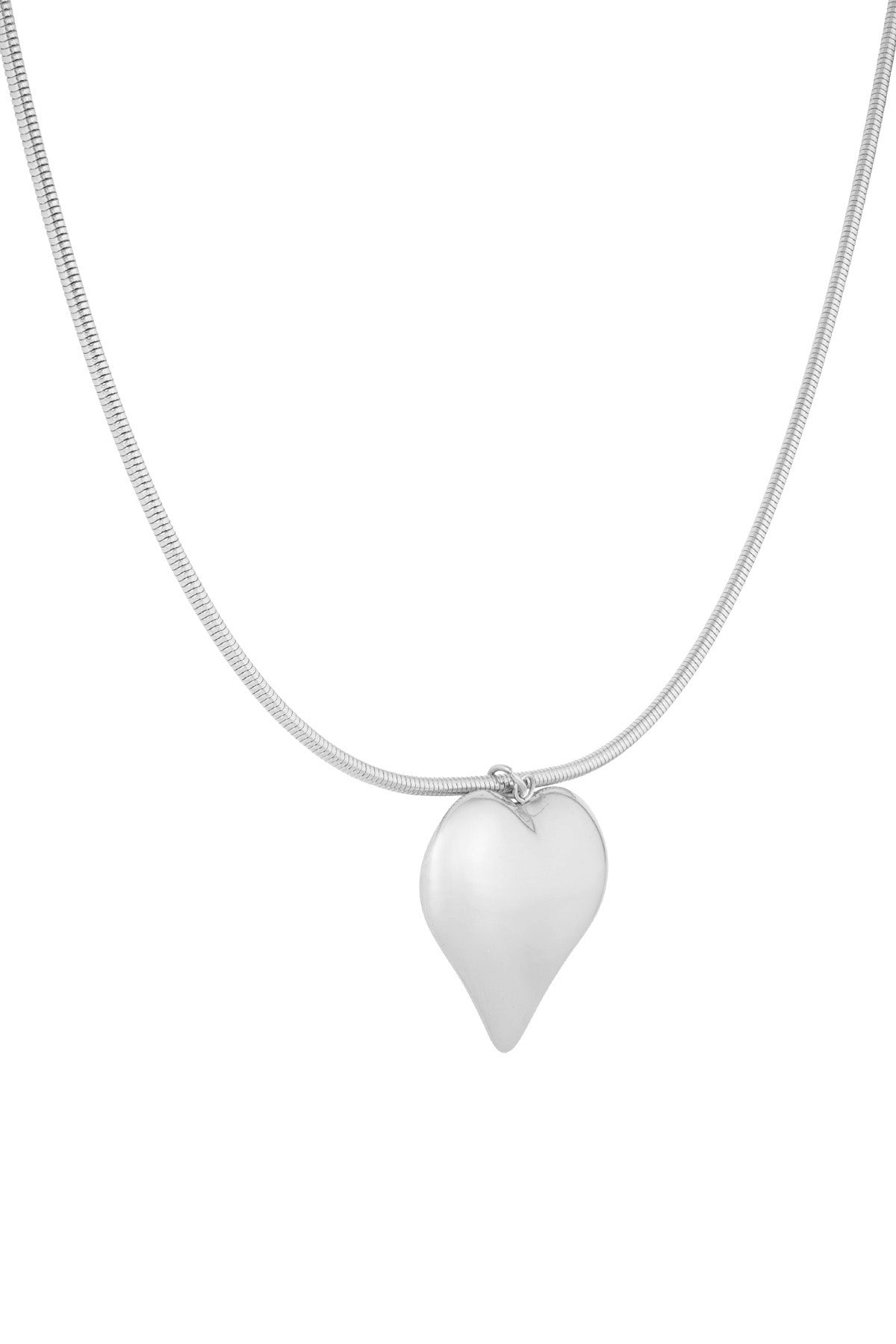 Big Heart Pendant ketting