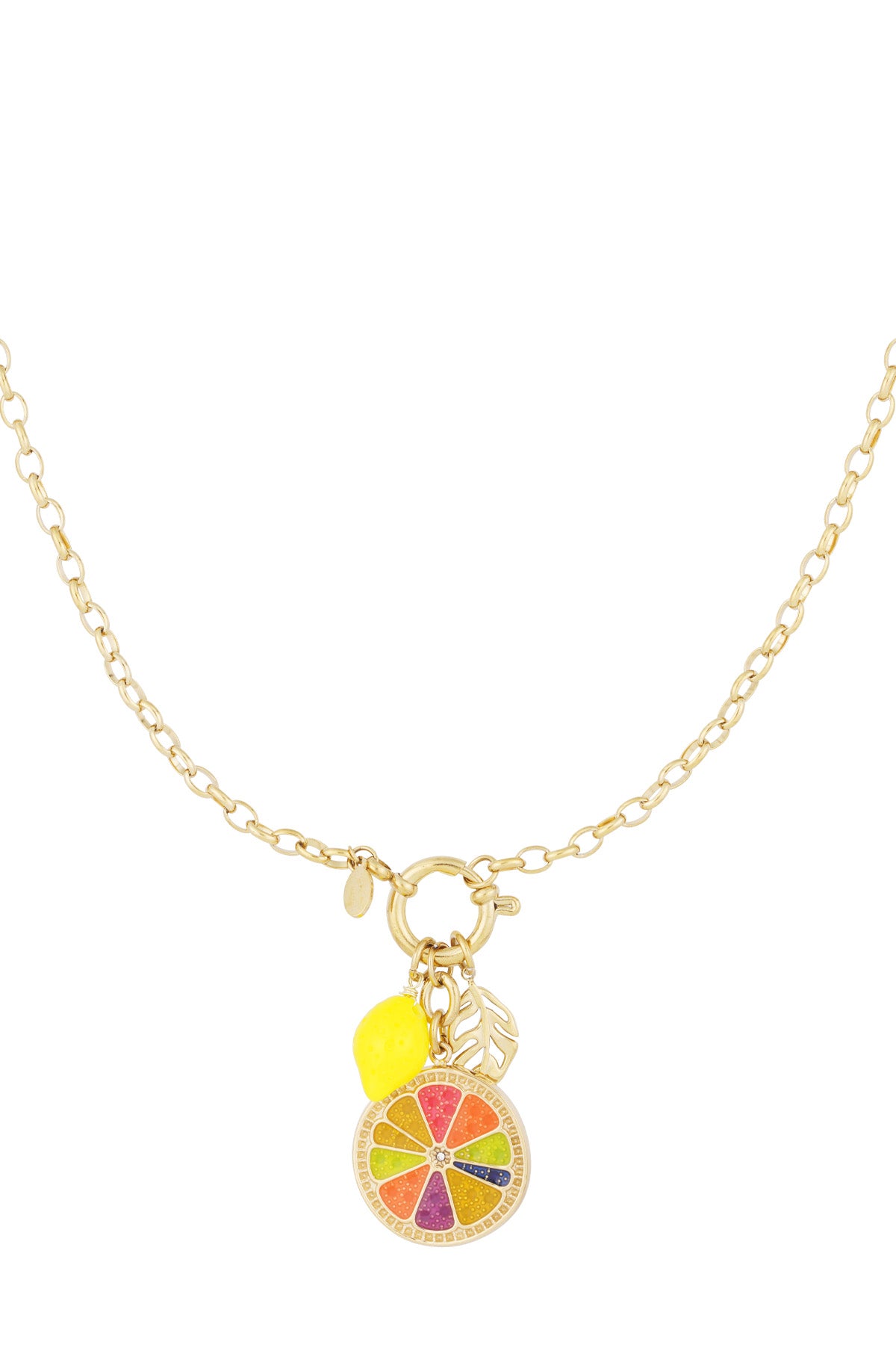 Fruit fusion ketting